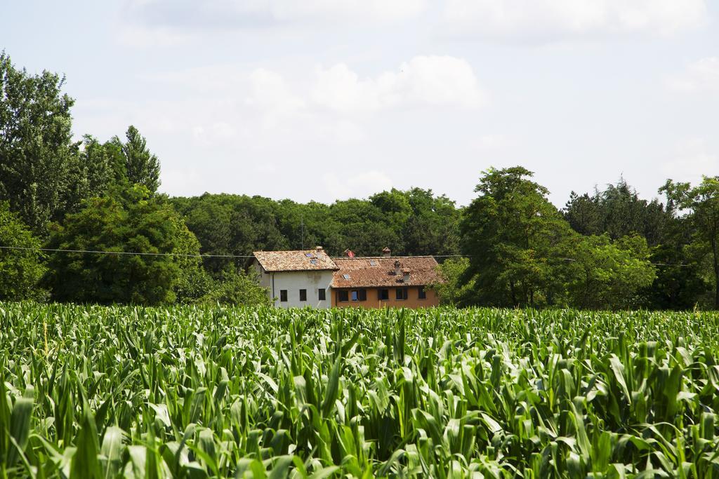 B&B Ca' De Taruffi Sasso Marconi Luaran gambar