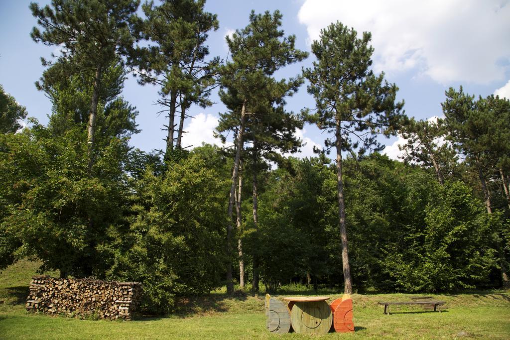 B&B Ca' De Taruffi Sasso Marconi Luaran gambar